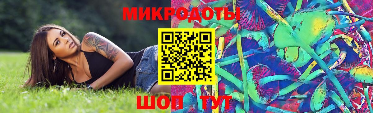 Осинники  Псилоцибиновые грибы GOLDEN TEACHER  Псилоцибиновые грибы ЛСД  Вход с VPN 